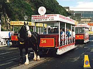 HORSE TRAMS