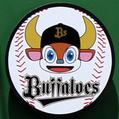 Buffaloes wbh}[N